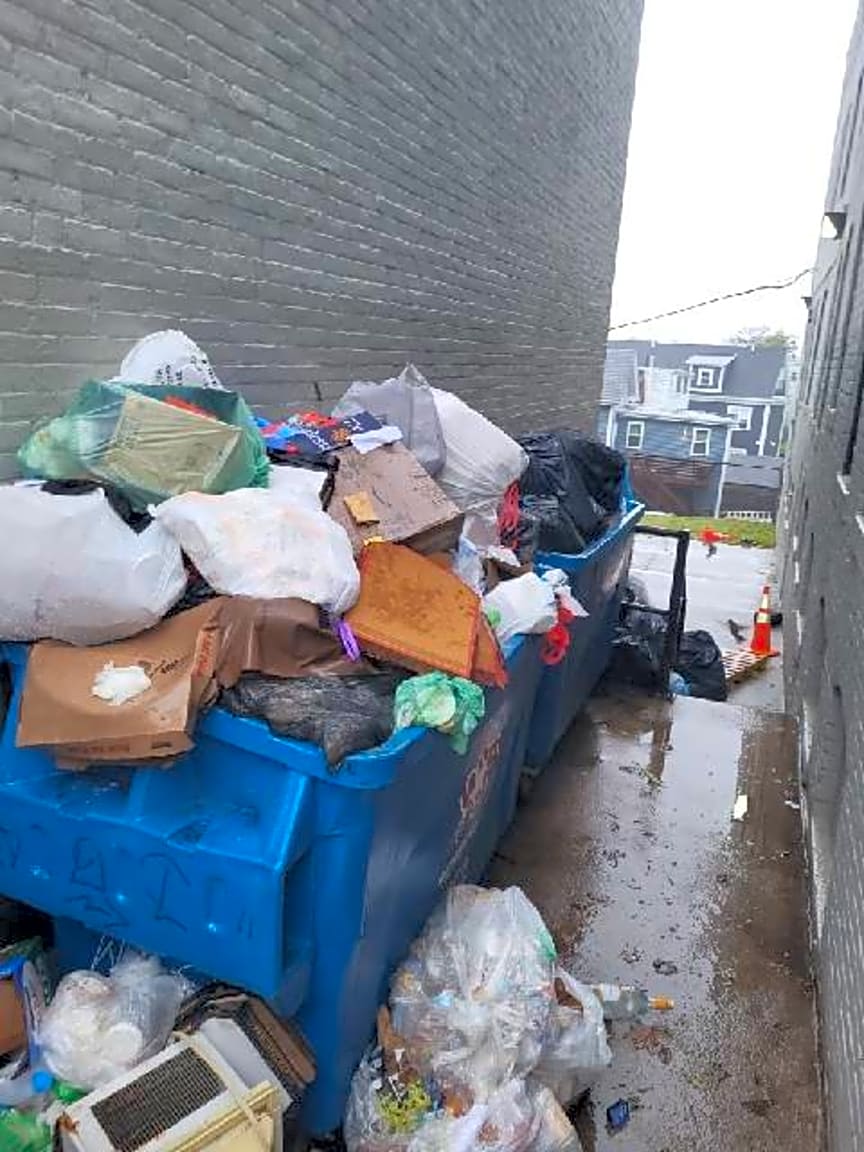 Image submitted with report