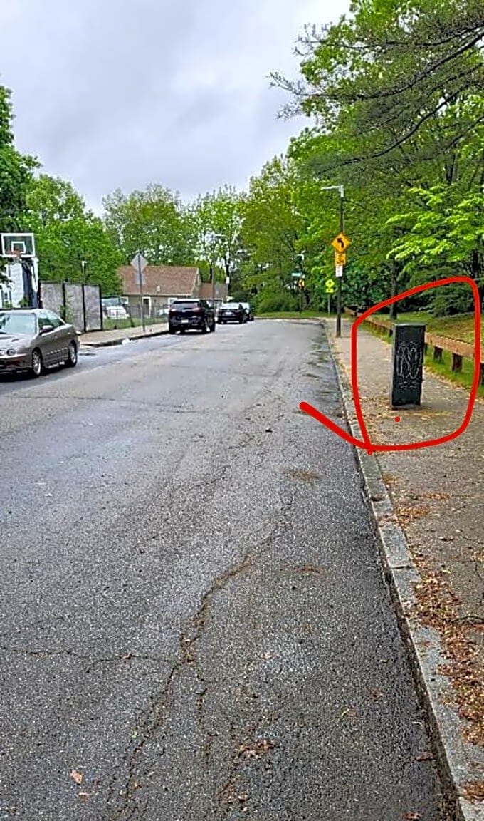 Image submitted with report