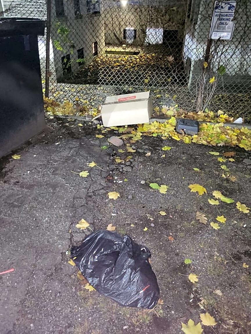 Image submitted with report