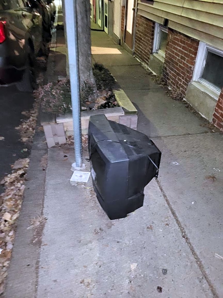 Image submitted with report