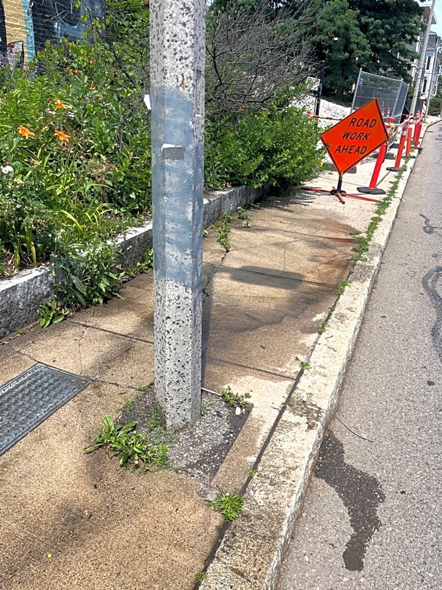 Image submitted with report