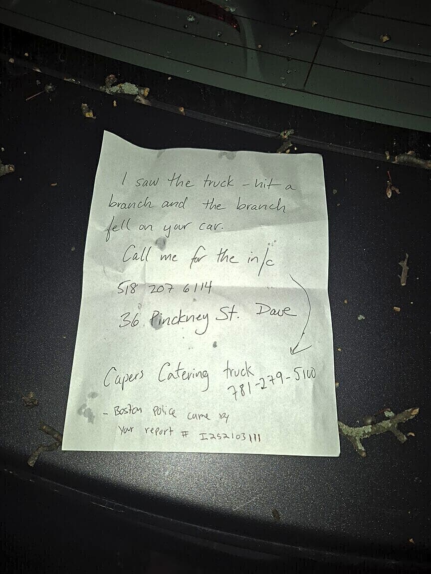 Image submitted with report