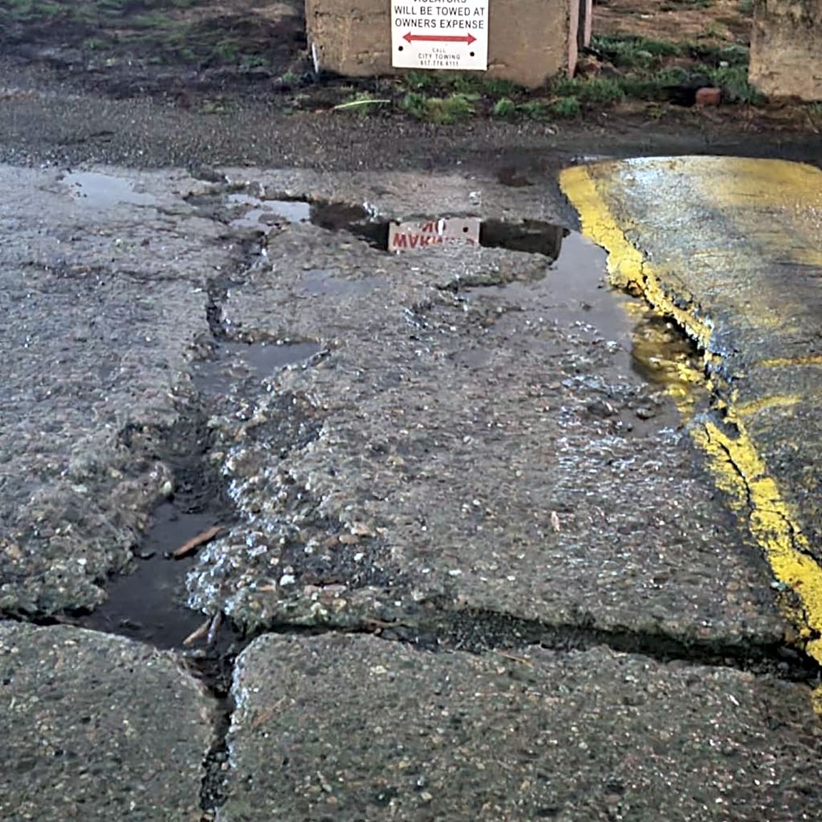 Image submitted with report