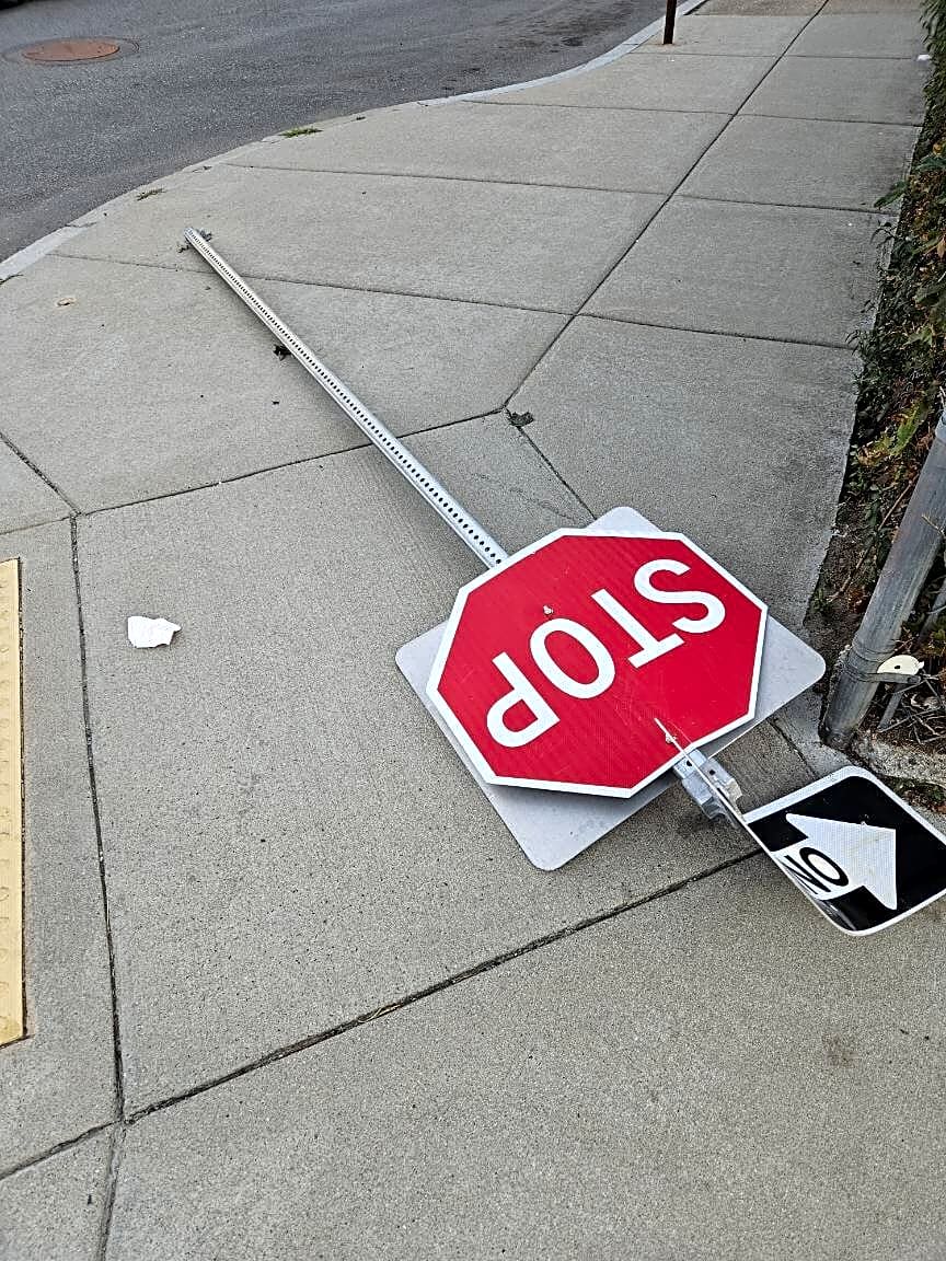 Image submitted with report