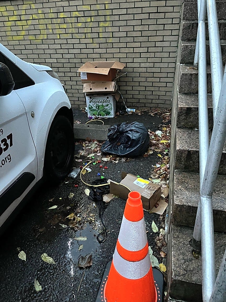 Image submitted with report