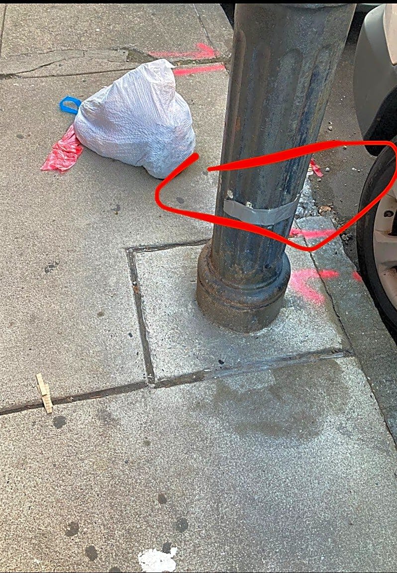 Image submitted with report