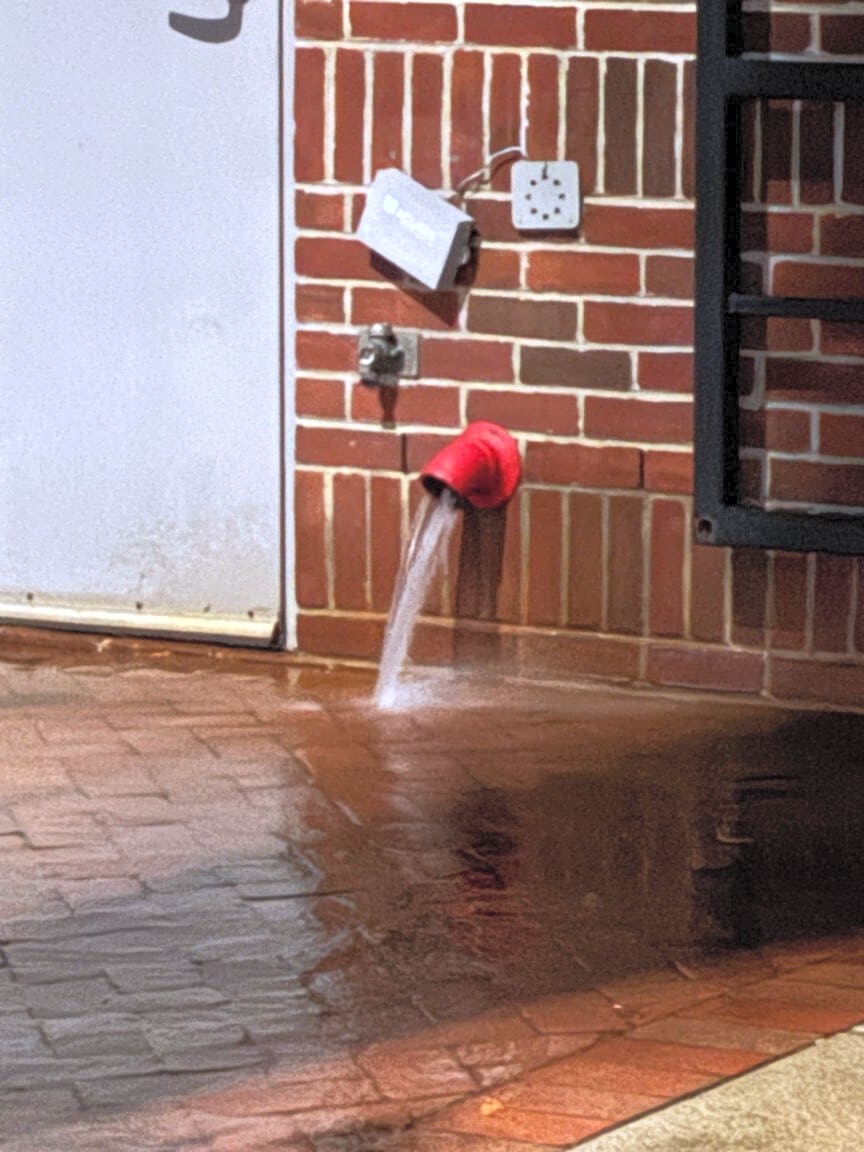 Image submitted with report