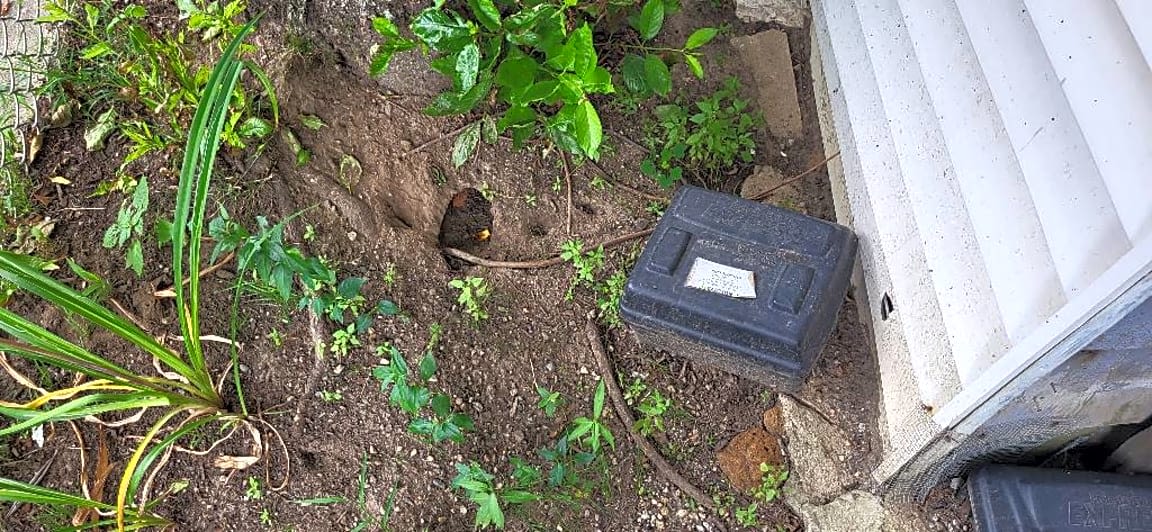 Image submitted with report