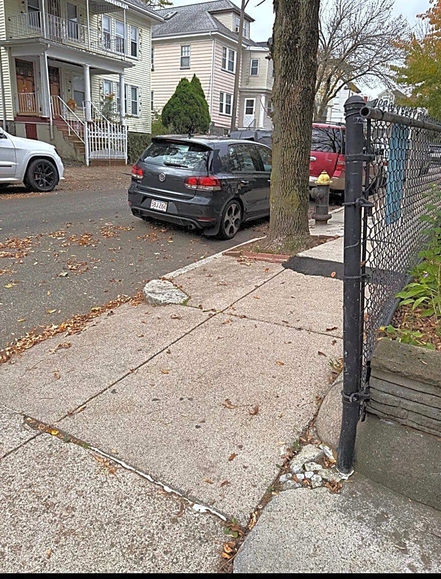 Image submitted with report