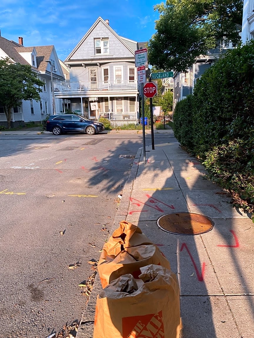 Image submitted with report