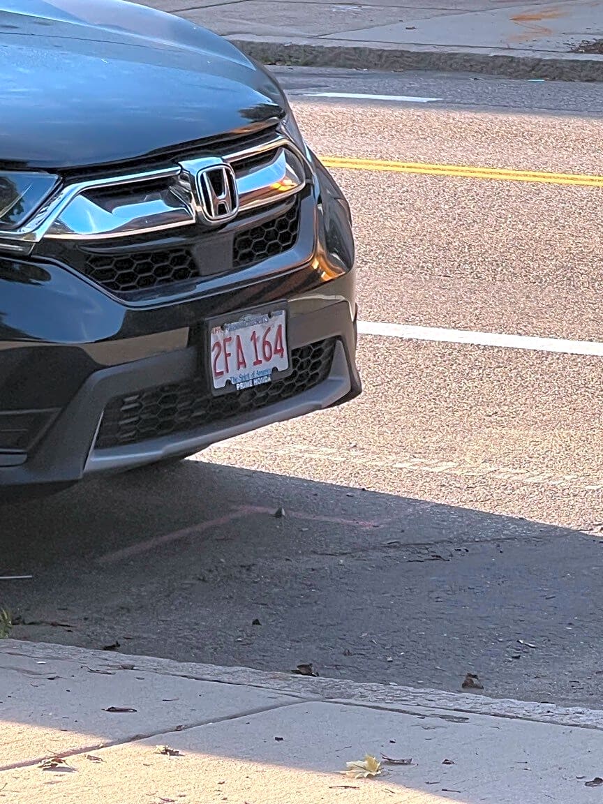 Image submitted with report