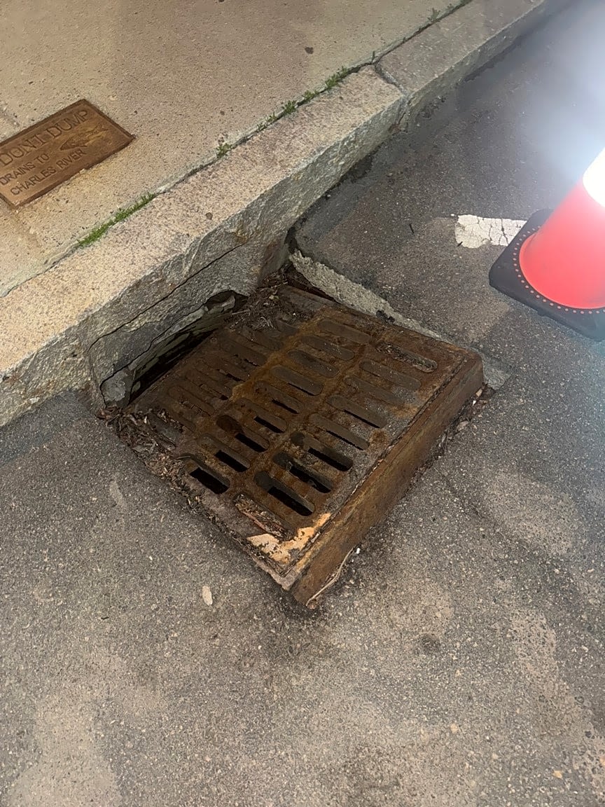 Image submitted with report