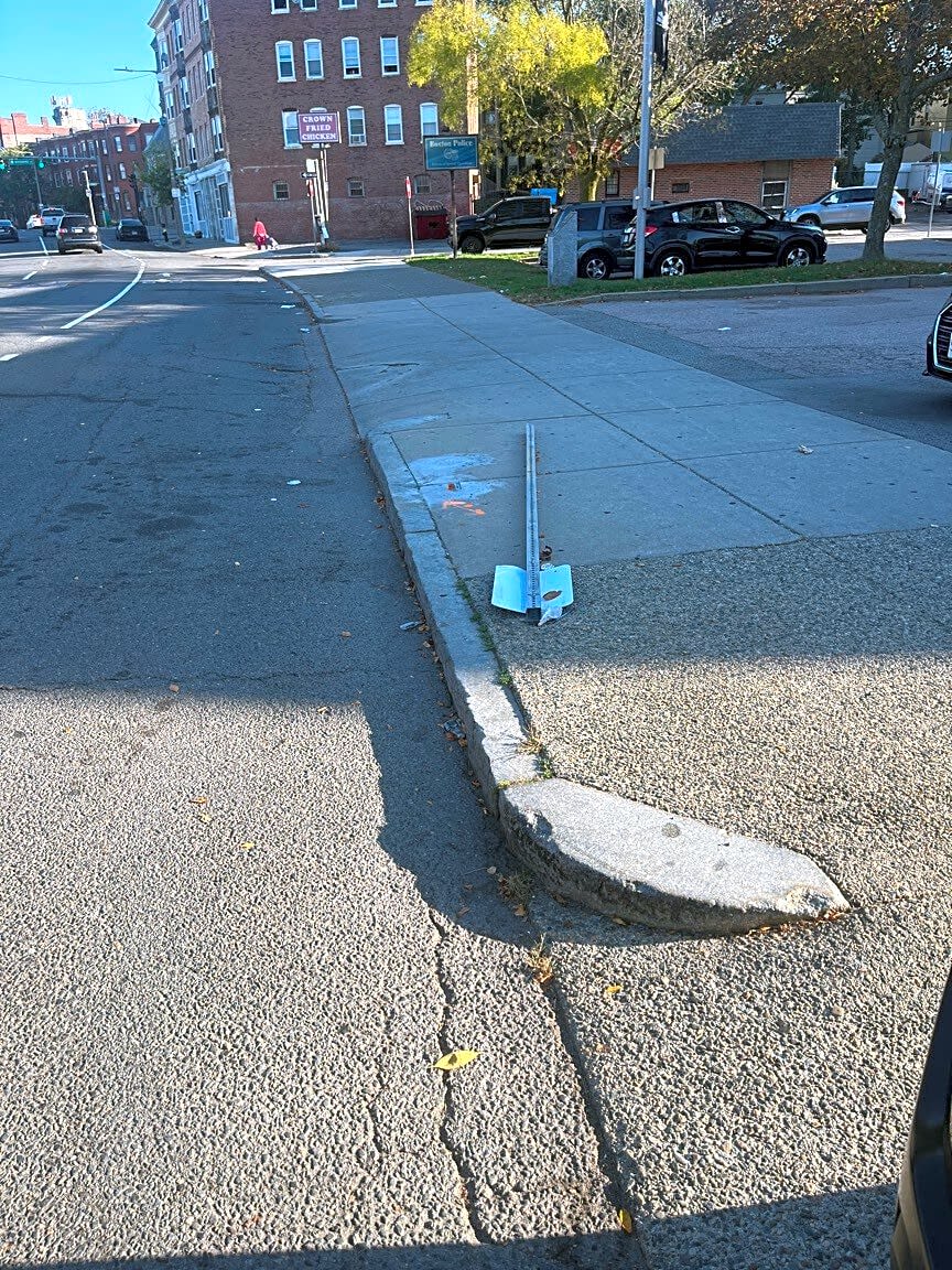 Image submitted with report