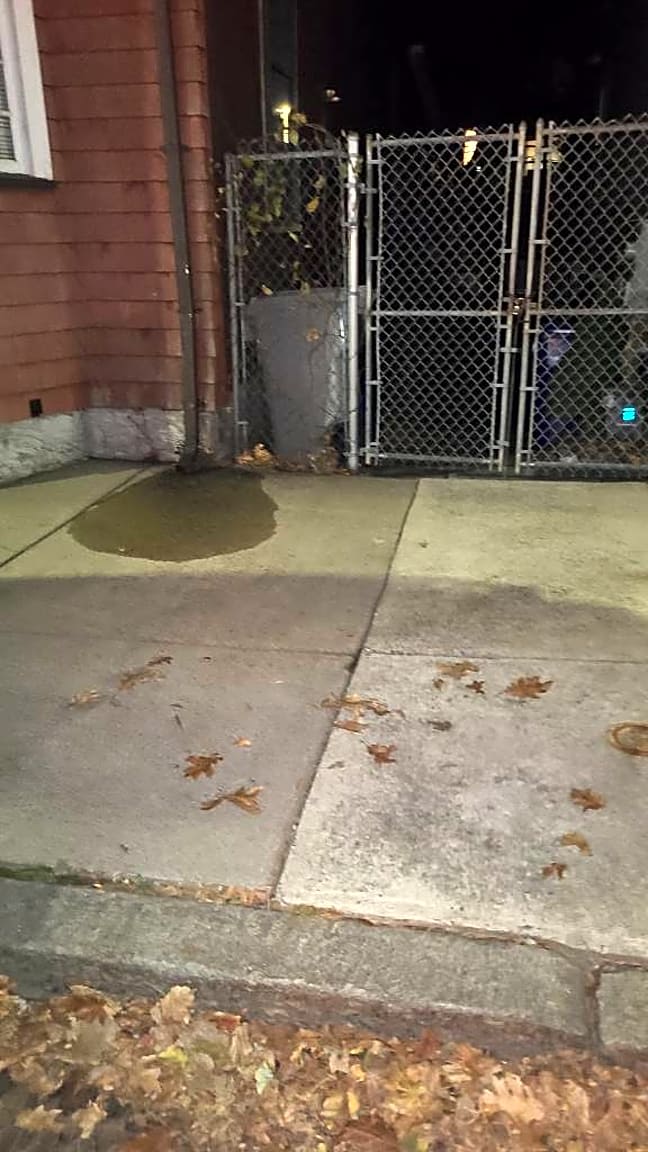 Image submitted with report