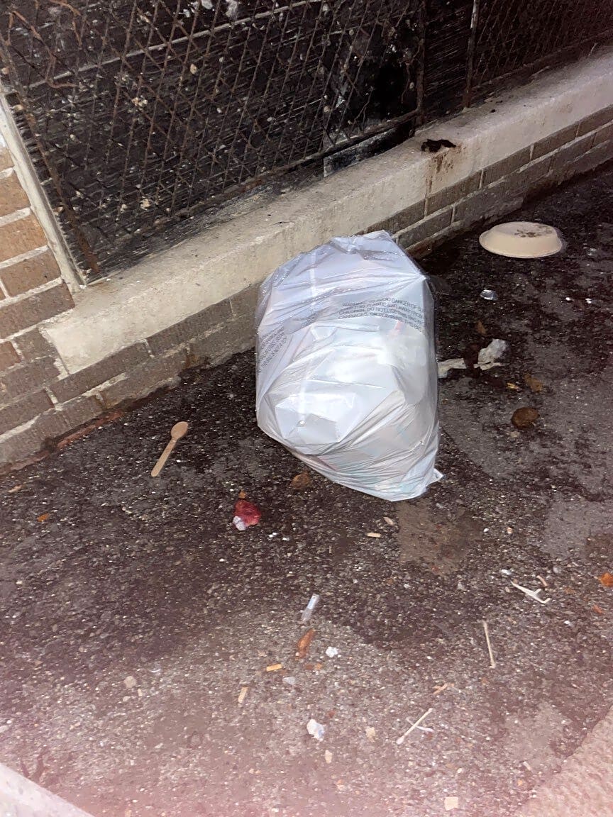 Image submitted with report