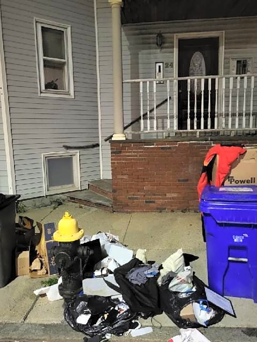Image submitted with report