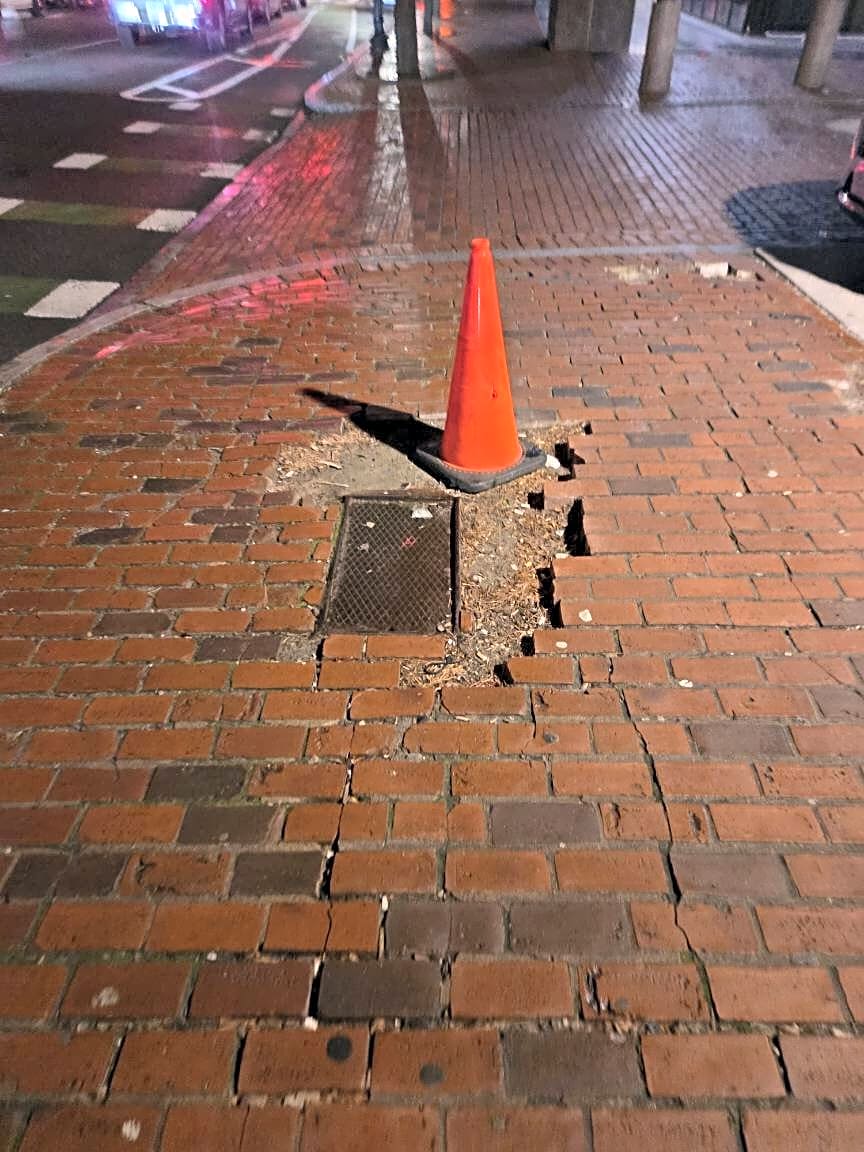 Image submitted with report