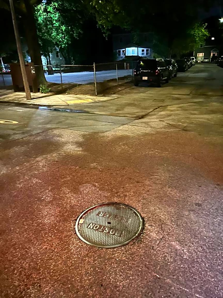 Image submitted with report