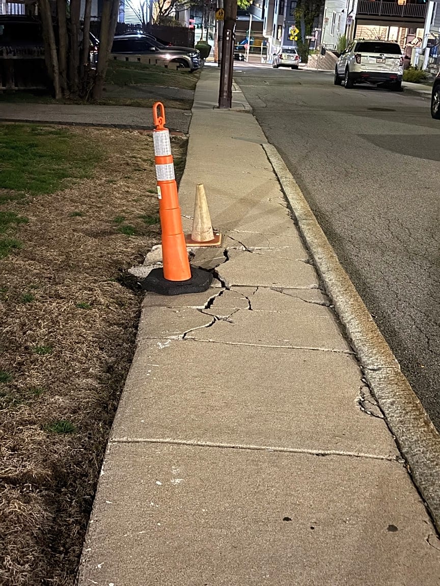 Image submitted with report