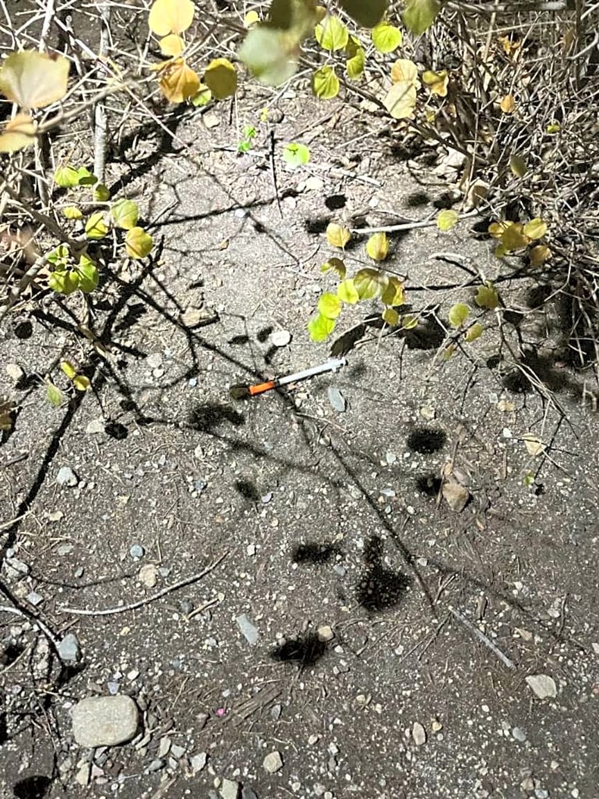 Image submitted with report