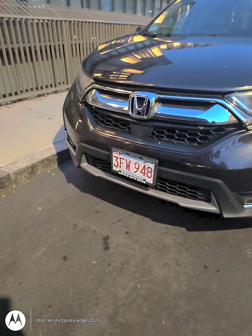 Image submitted with report