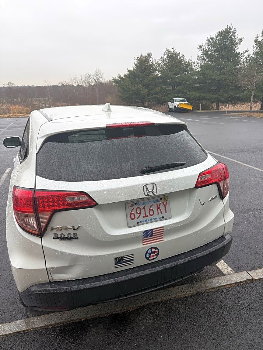 Image submitted with report