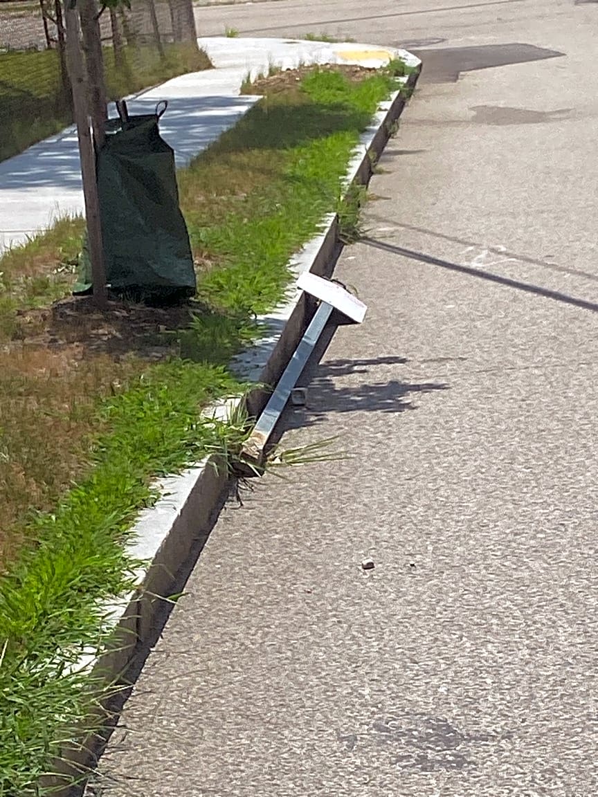 Image submitted with report