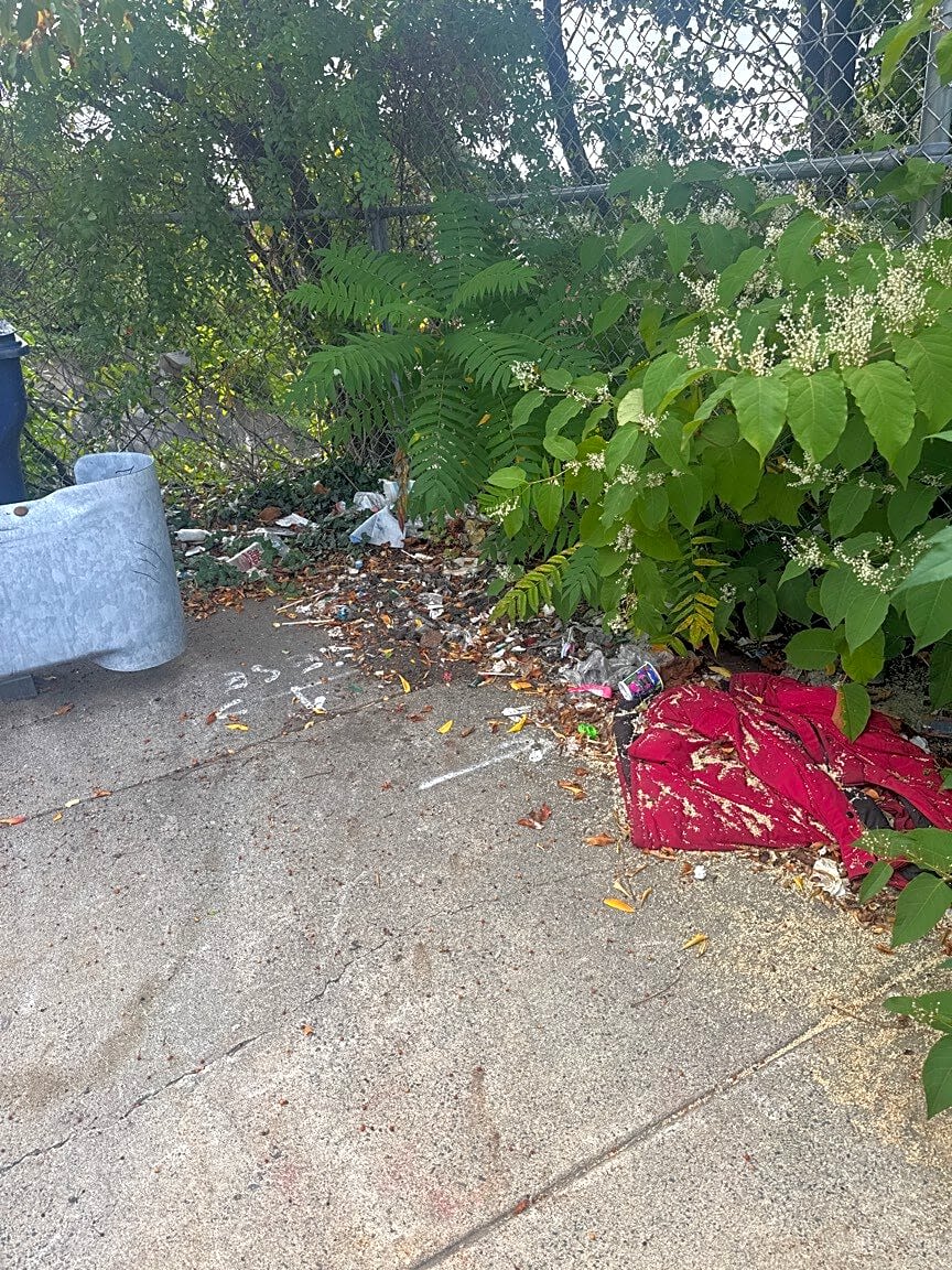 Image submitted with report
