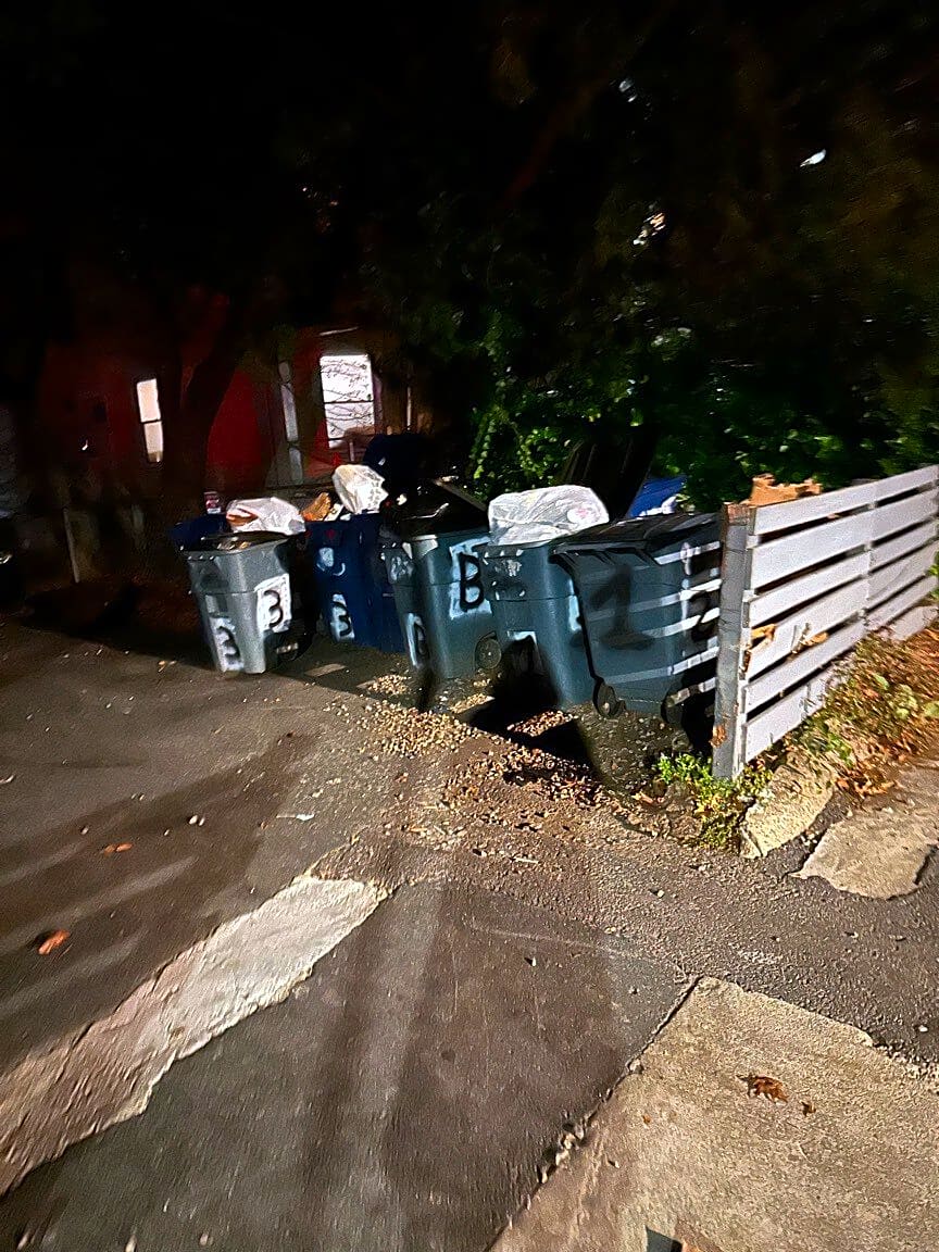 Image submitted with report