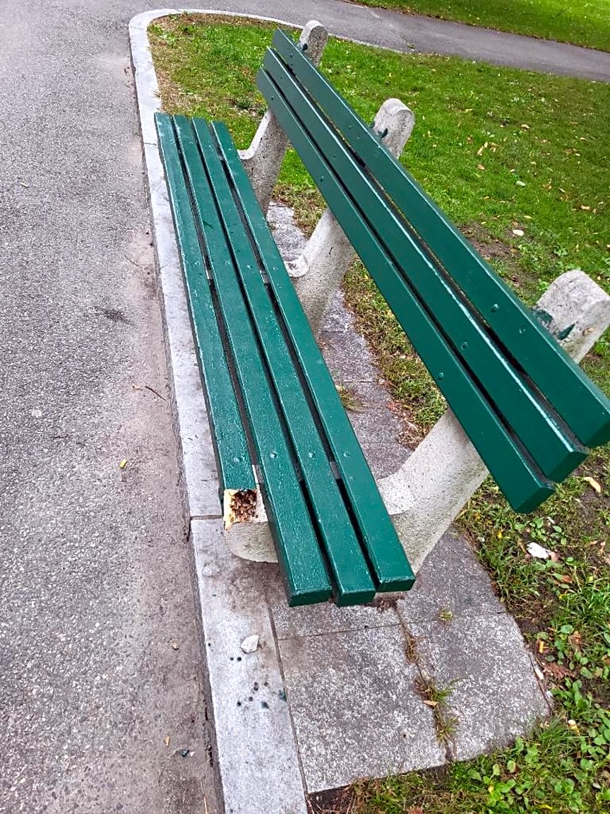 Image submitted with report