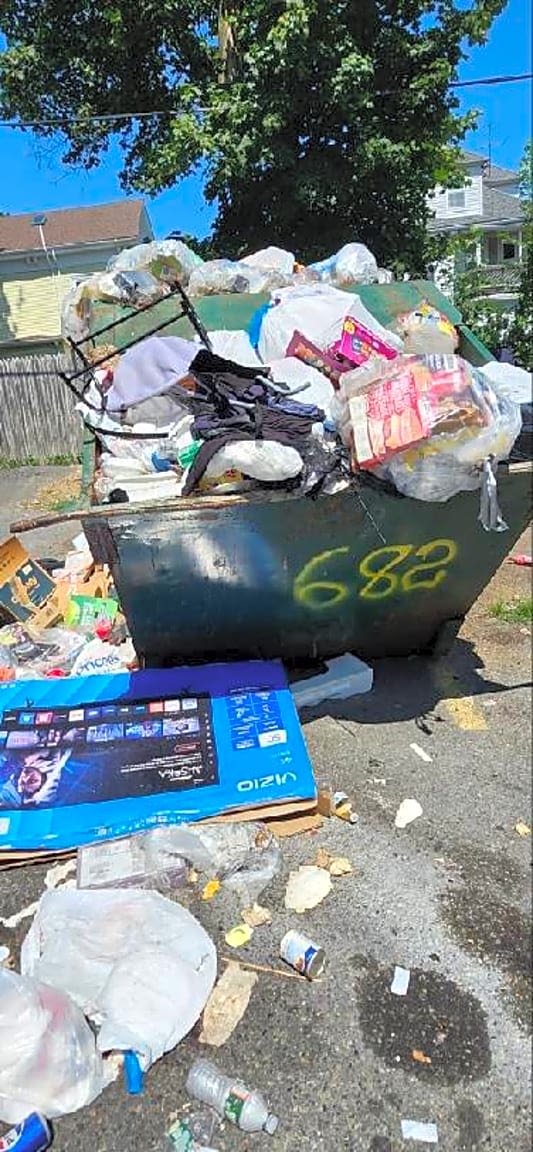 Image submitted with report