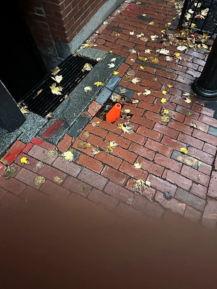 Image submitted with report