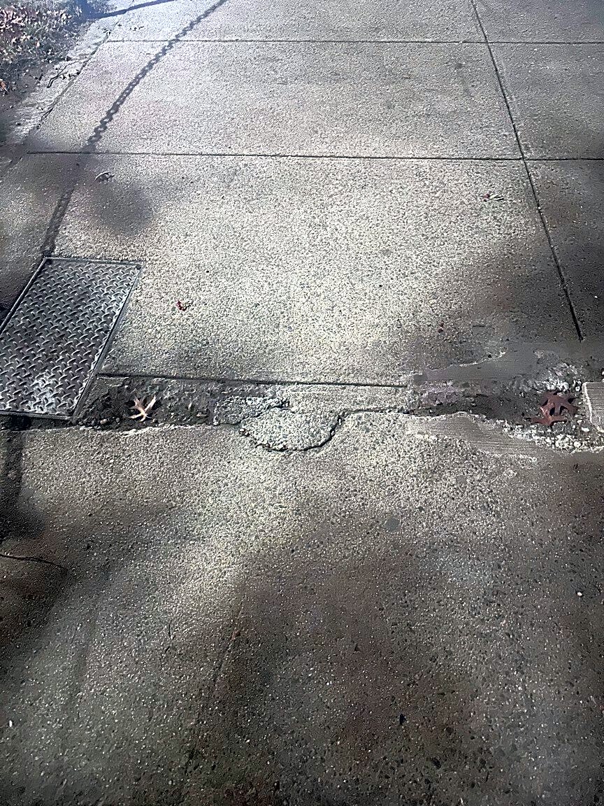 Image submitted with report