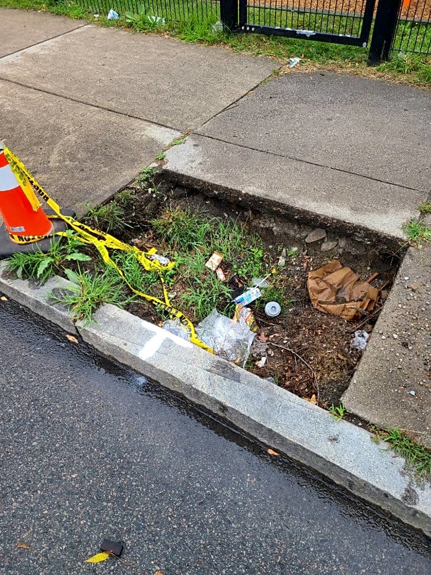 Image submitted with report