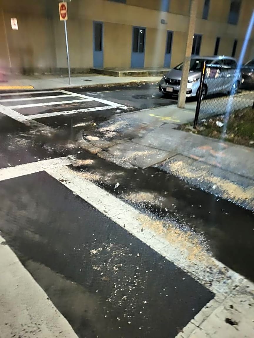 Image submitted with report