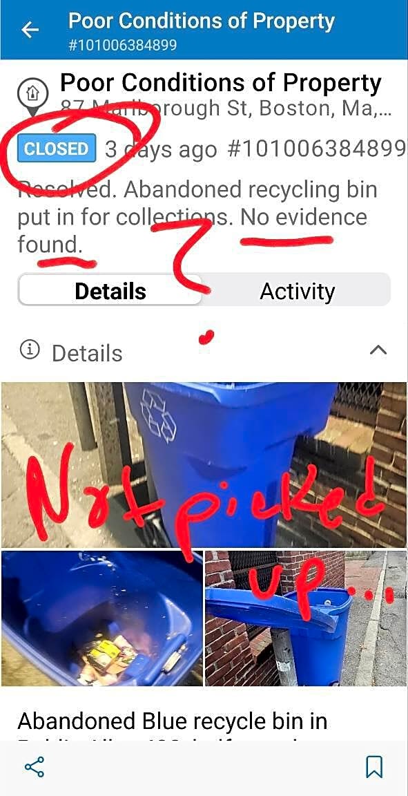 Image submitted with report