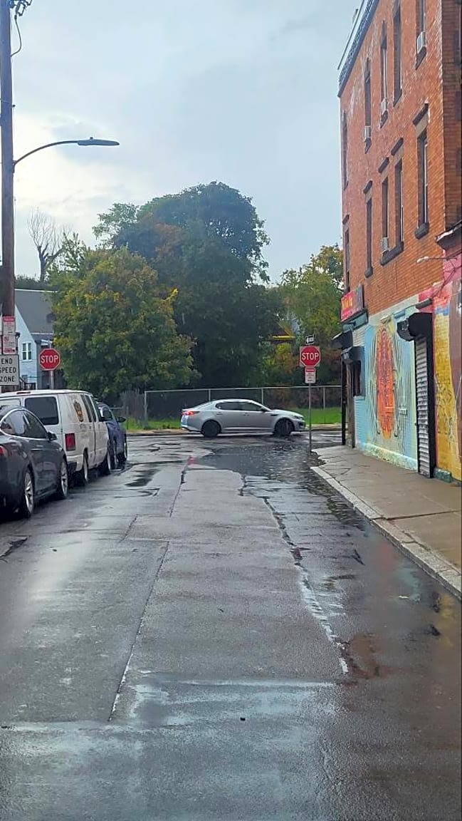 Image submitted with report