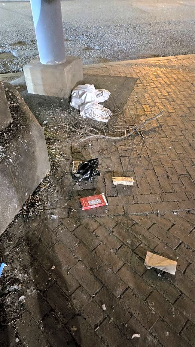 Image submitted with report