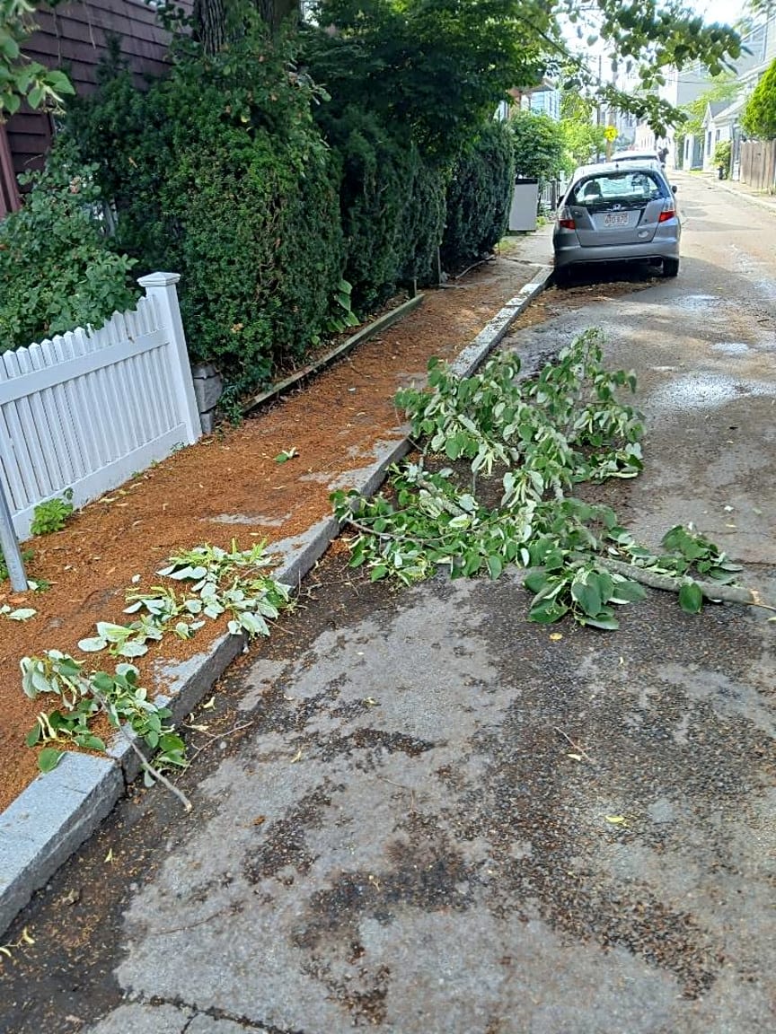Image submitted with report