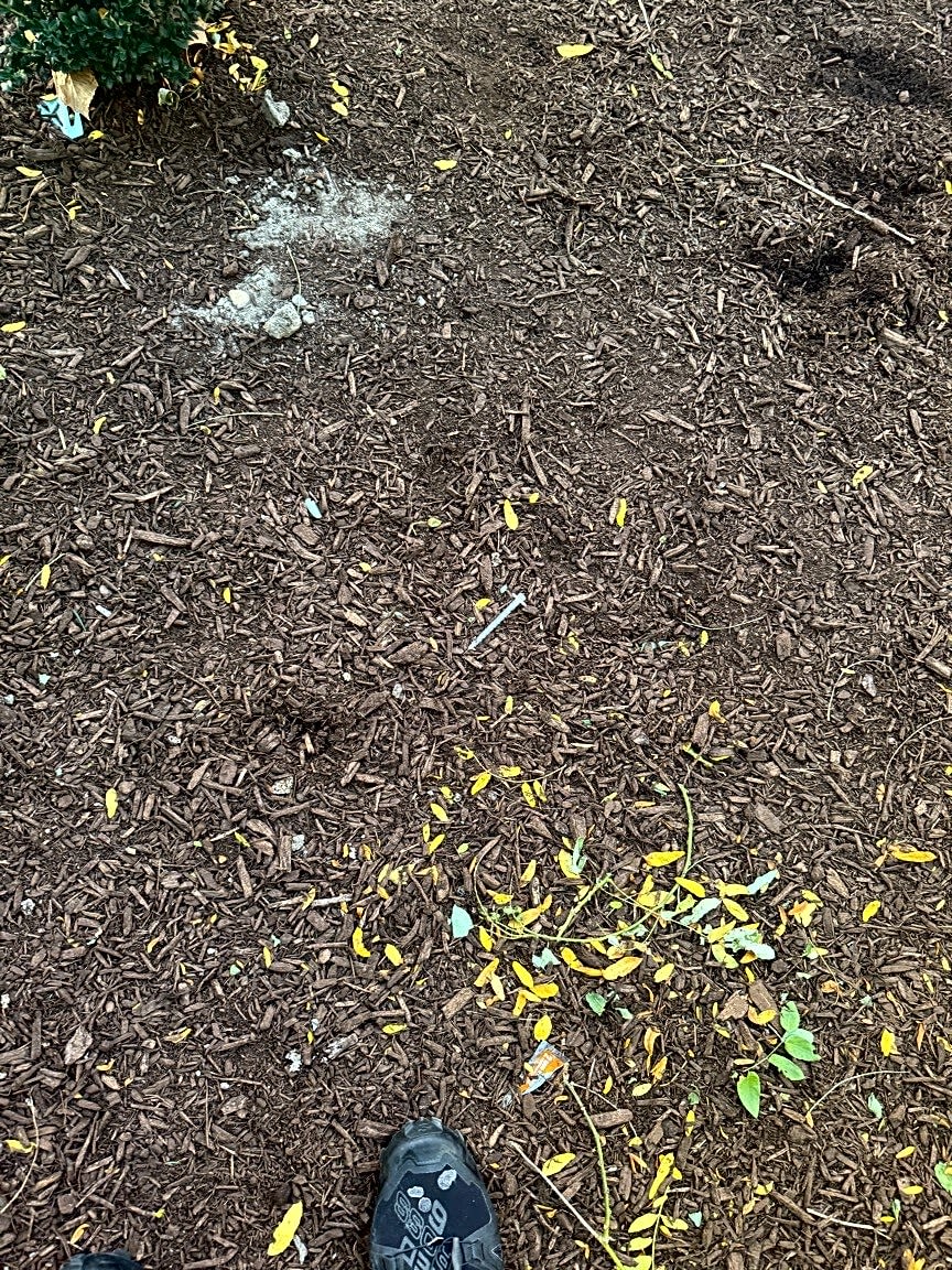 Image submitted with report