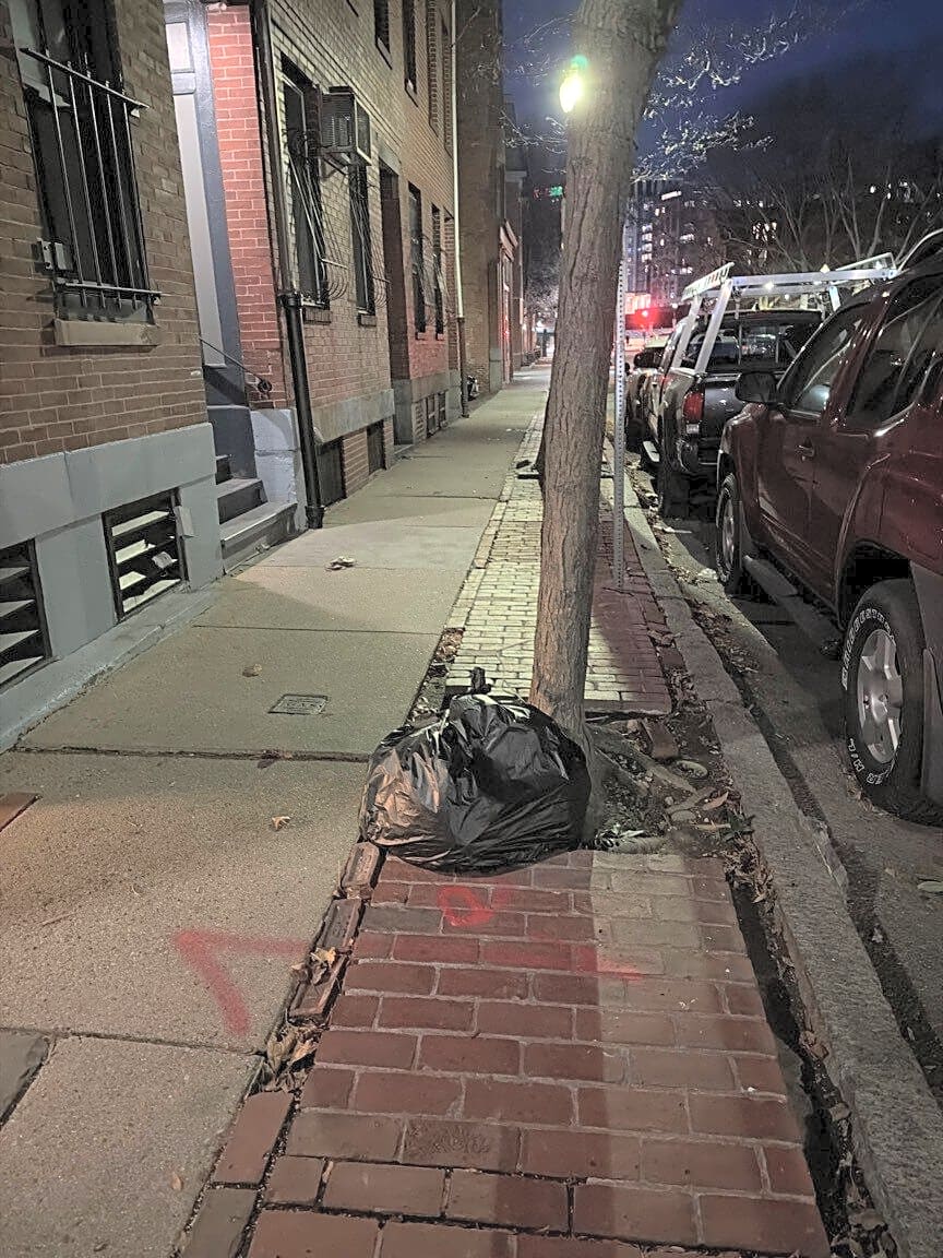 Image submitted with report