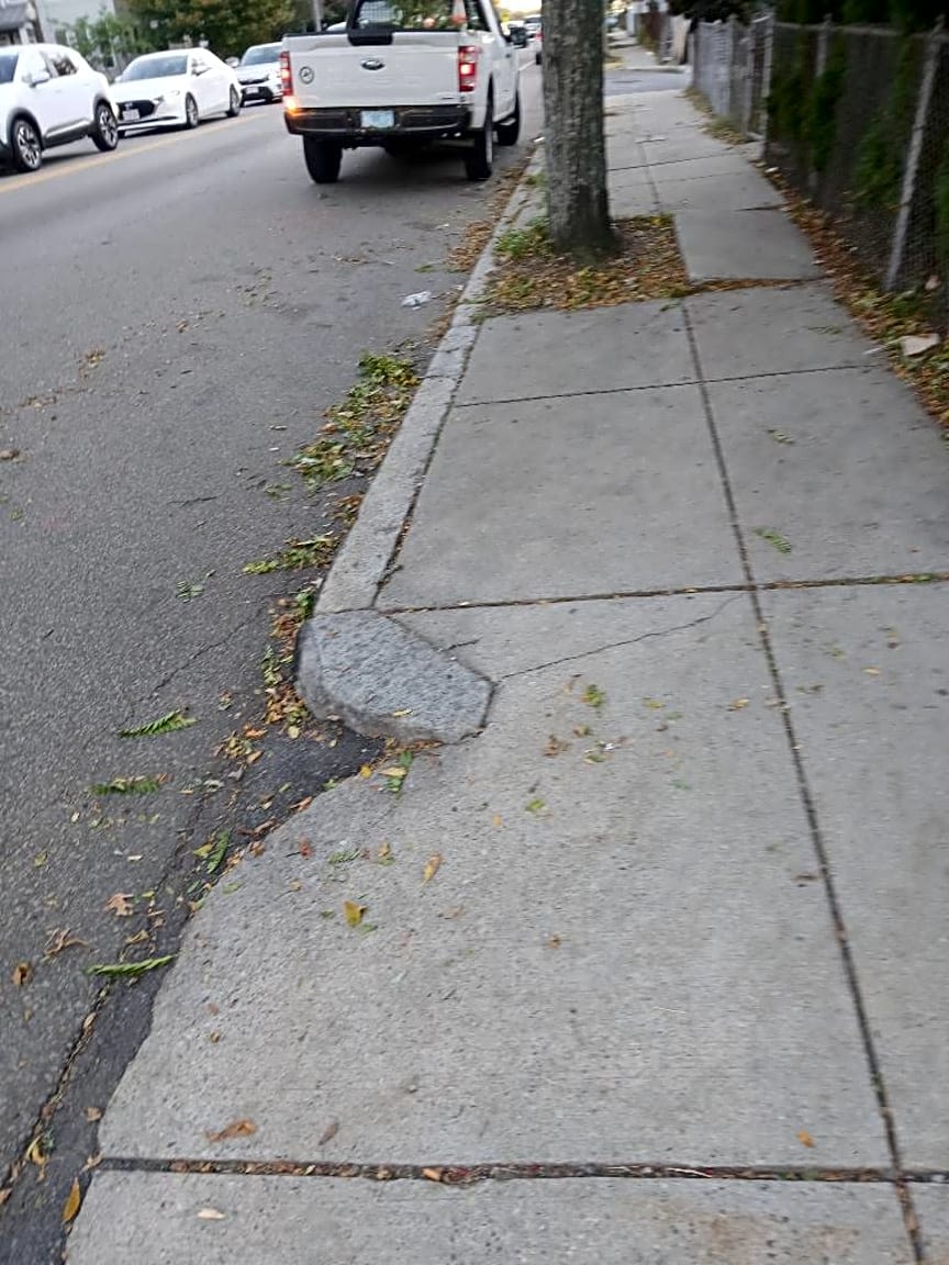 Image submitted with report