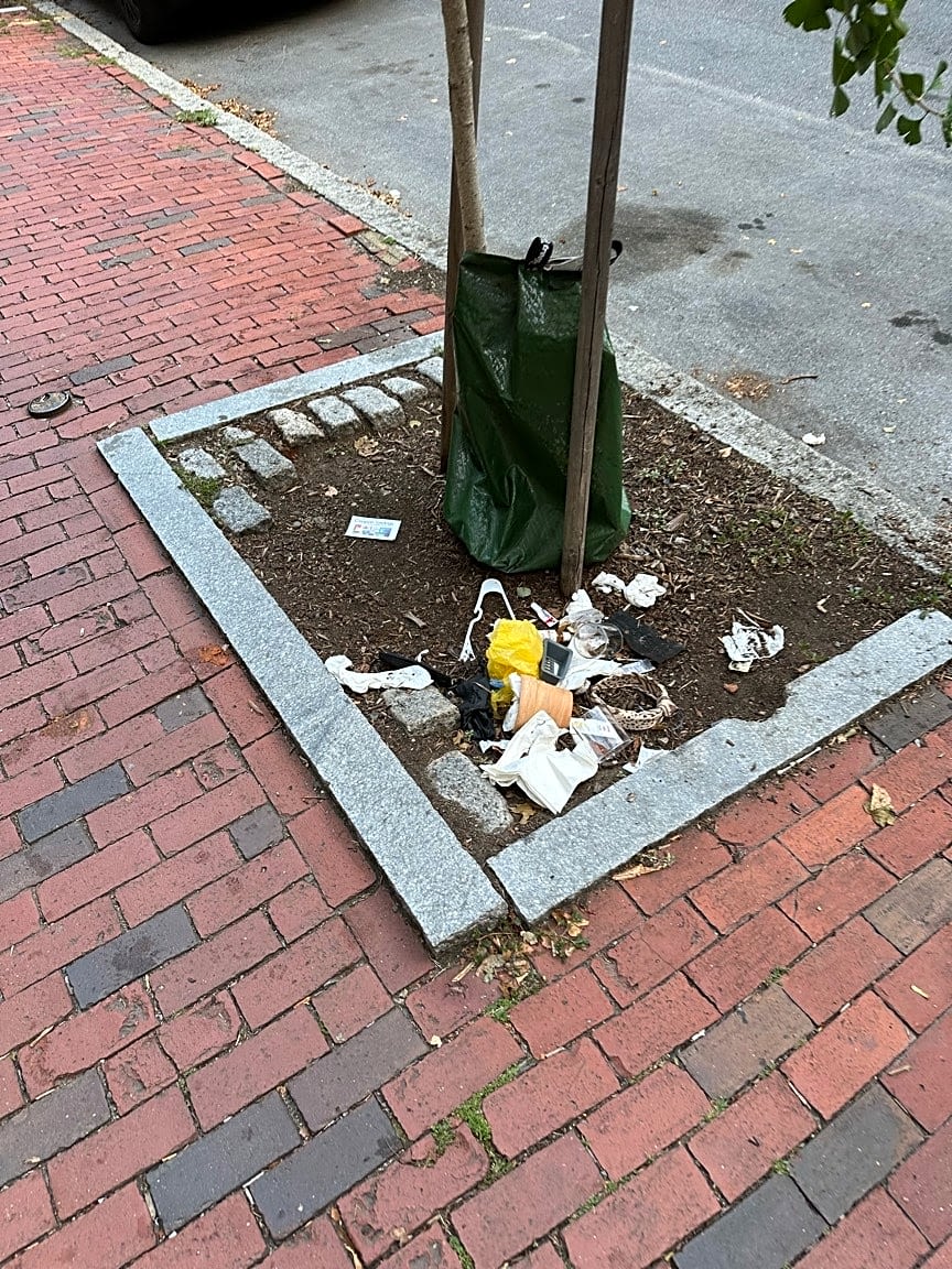 Image submitted with report