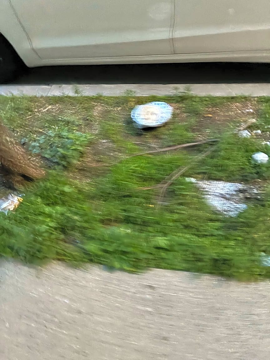 Image submitted with report