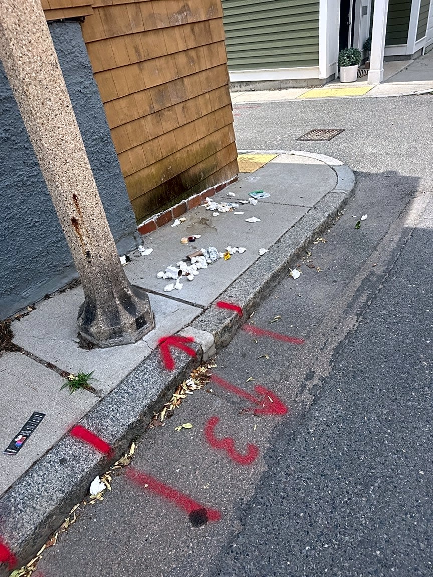 Image submitted with report