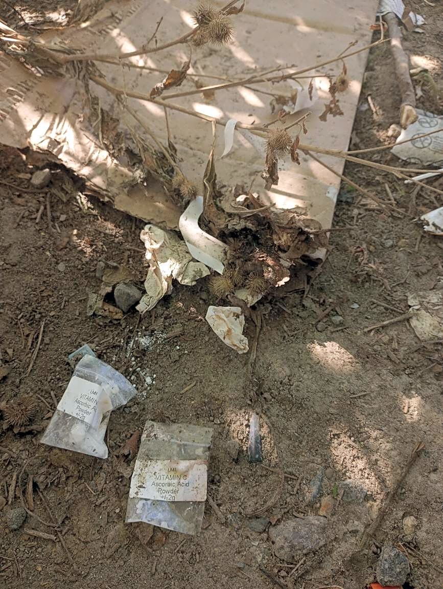 Image submitted with report