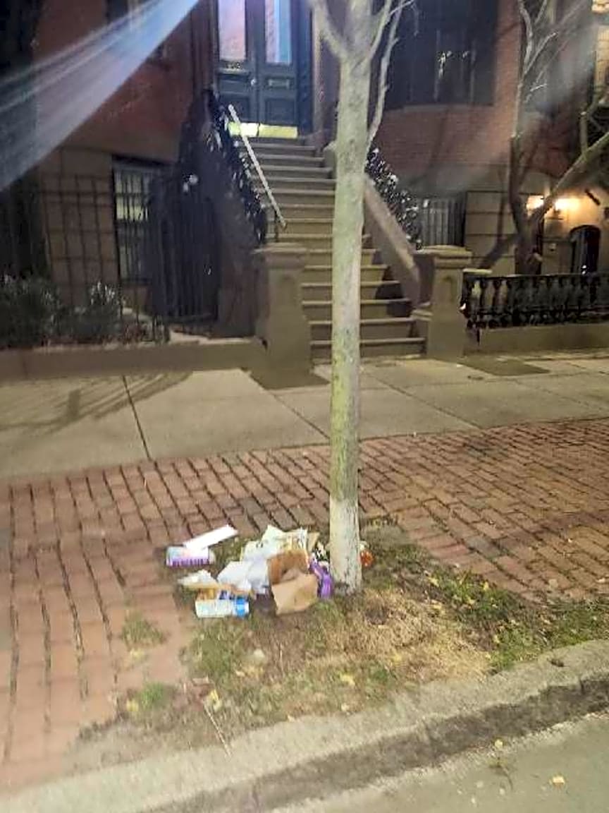 Image submitted with report