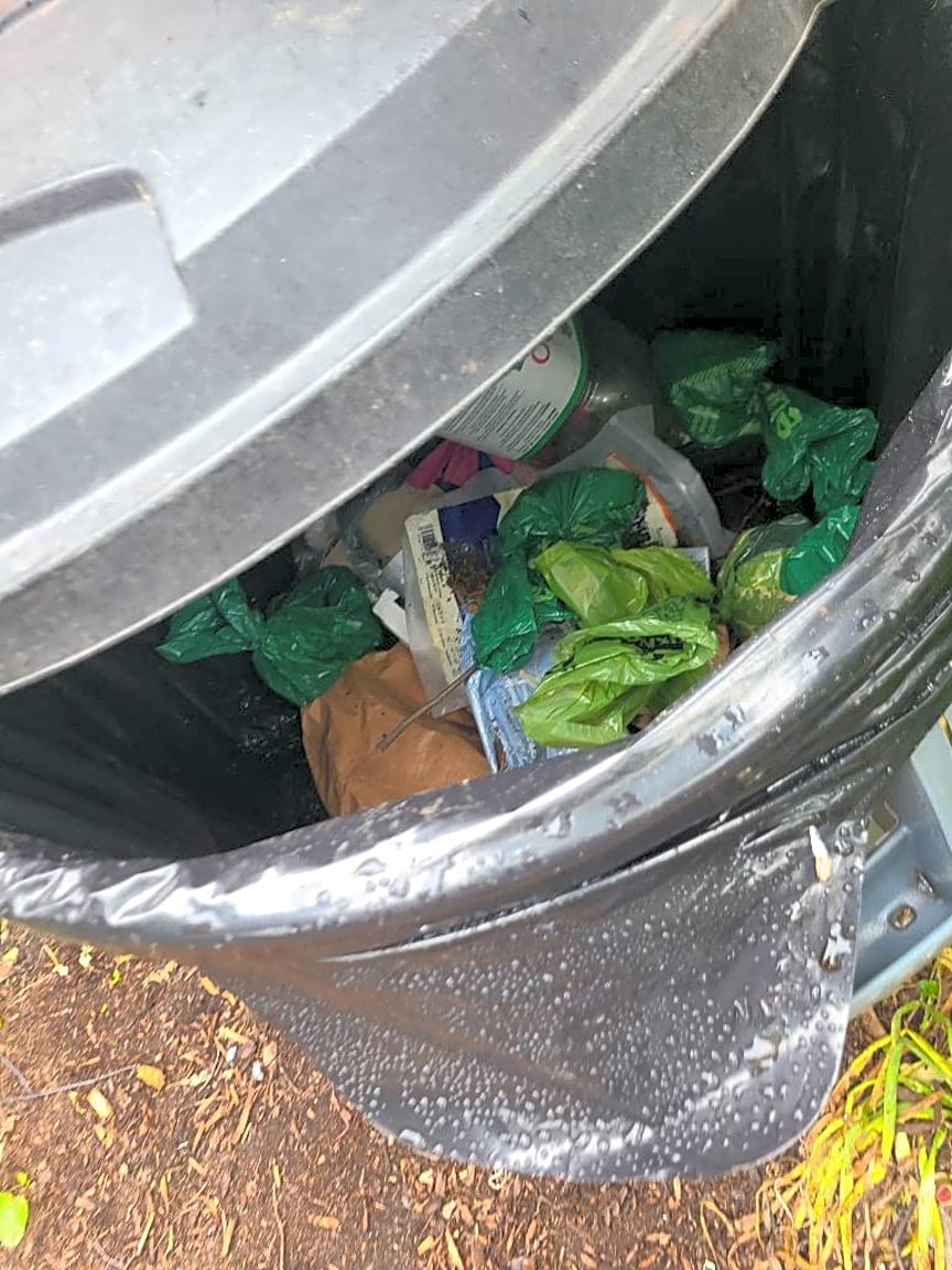 Image submitted with report