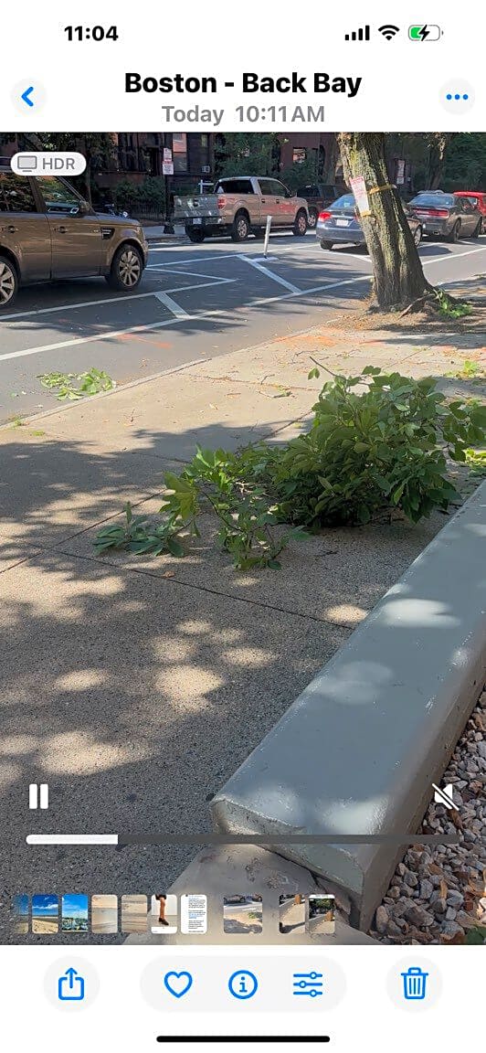 Image submitted with report