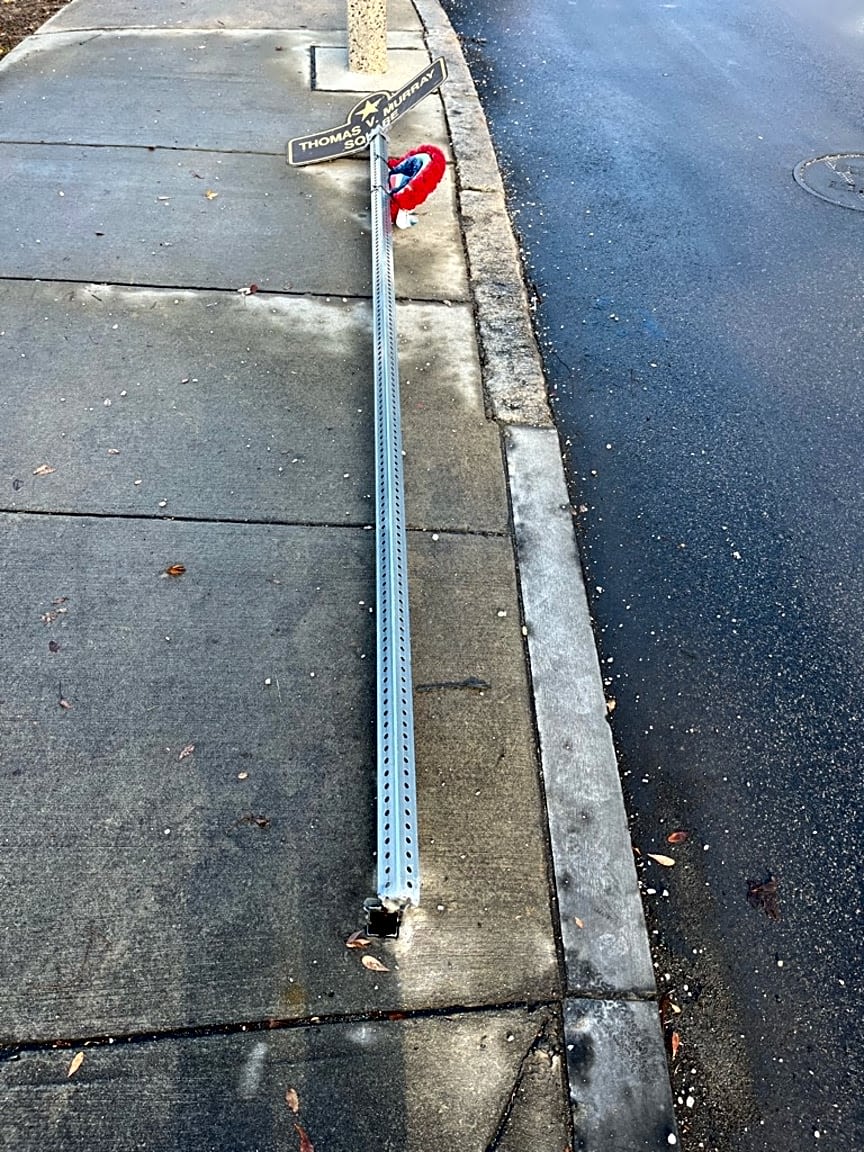 Image submitted with report